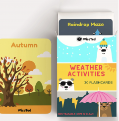 Weather Activities - Flash Cards